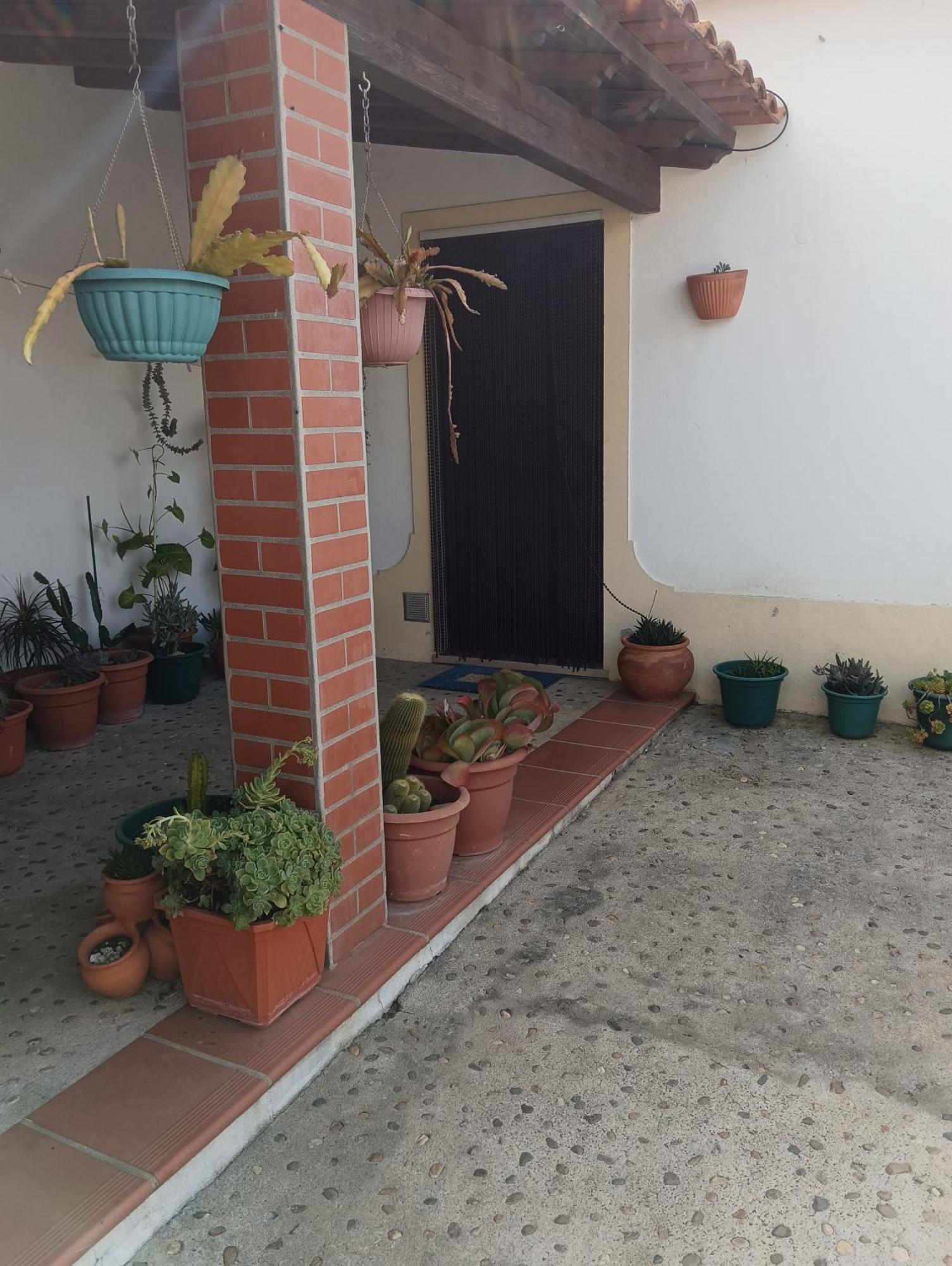 Cantinho Da Susy Golegã 外观 照片